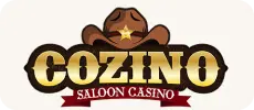 Cozino footer